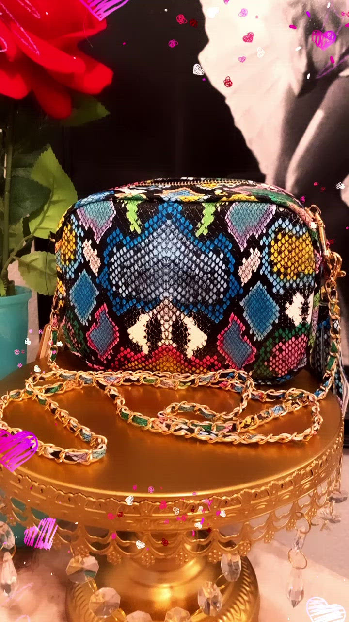 Rainbow Slither Purse